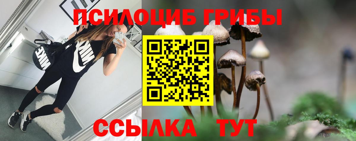 Галлюциногенные грибы мухоморы Скопин