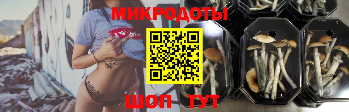 Скопин  Псилоцибиновые грибы GOLDEN TEACHER  Галлюциногенные грибы Magic Shrooms  Вход с VPN 